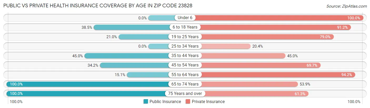 Public vs Private Health Insurance Coverage by Age in Zip Code 23828