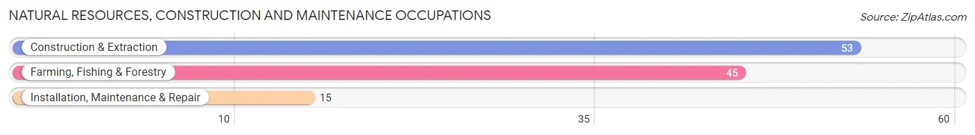 Natural Resources, Construction and Maintenance Occupations in Zip Code 23829