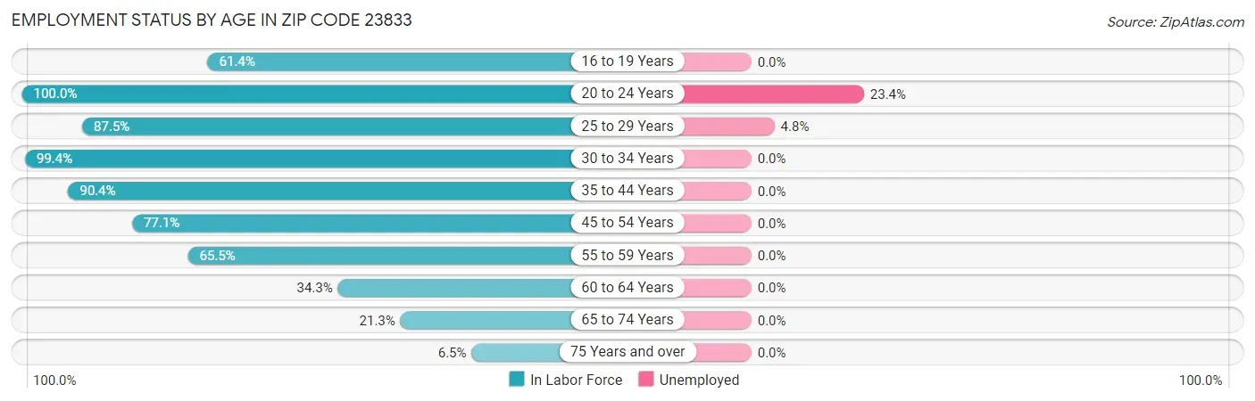 Employment Status by Age in Zip Code 23833