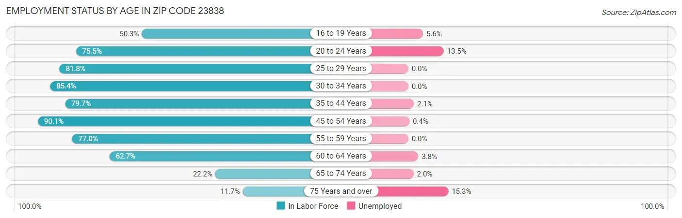 Employment Status by Age in Zip Code 23838
