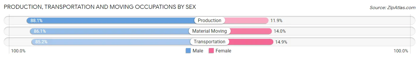 Production, Transportation and Moving Occupations by Sex in Zip Code 23838
