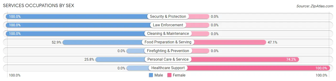 Services Occupations by Sex in Zip Code 23841