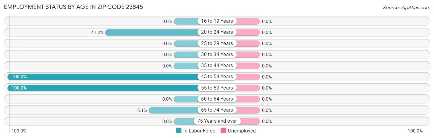 Employment Status by Age in Zip Code 23845