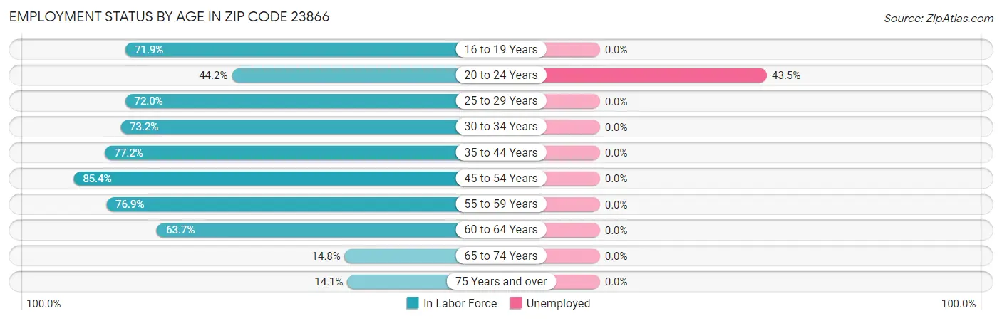 Employment Status by Age in Zip Code 23866