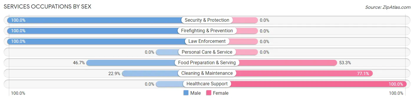 Services Occupations by Sex in Zip Code 23866