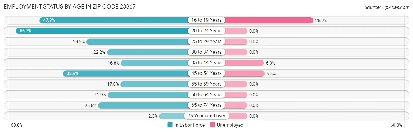 Employment Status by Age in Zip Code 23867