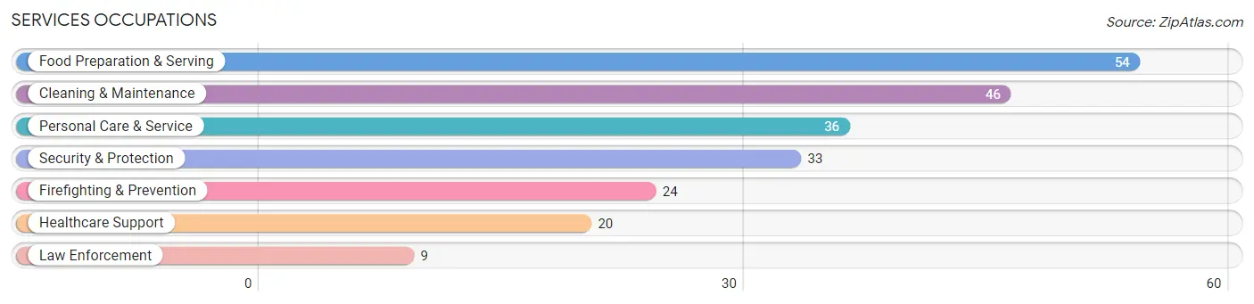 Services Occupations in Zip Code 23867