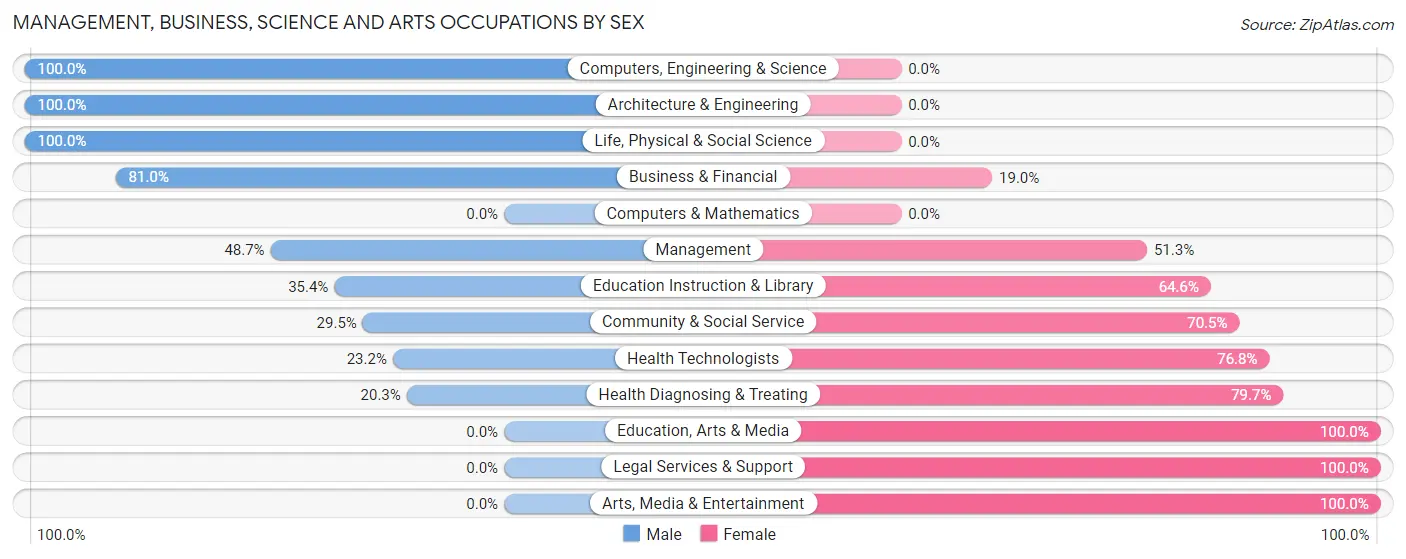 Management, Business, Science and Arts Occupations by Sex in Zip Code 23868