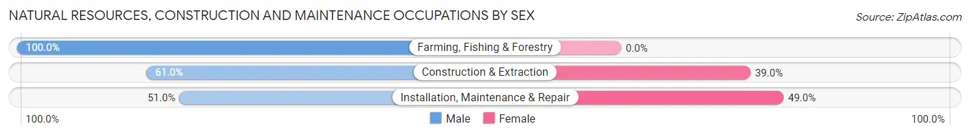 Natural Resources, Construction and Maintenance Occupations by Sex in Zip Code 23868