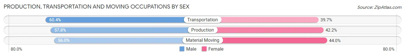 Production, Transportation and Moving Occupations by Sex in Zip Code 23868