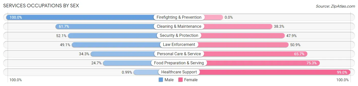 Services Occupations by Sex in Zip Code 23868