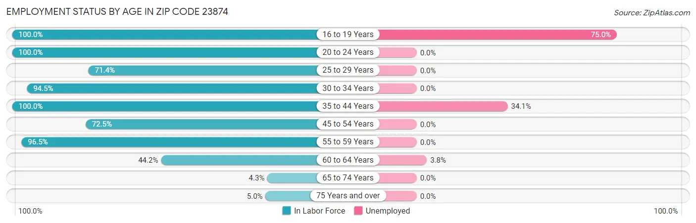 Employment Status by Age in Zip Code 23874