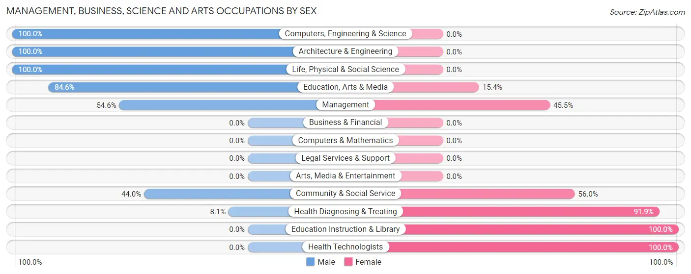 Management, Business, Science and Arts Occupations by Sex in Zip Code 23874