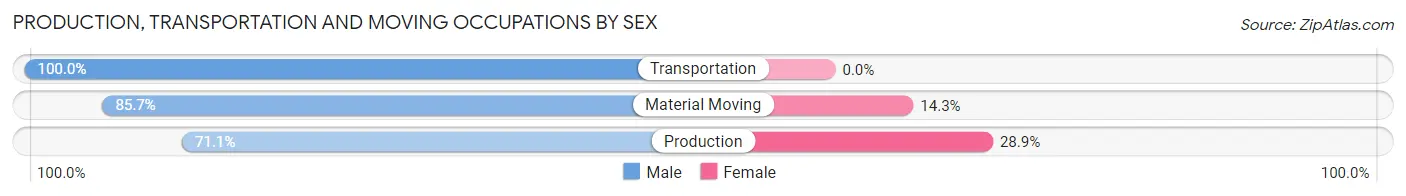 Production, Transportation and Moving Occupations by Sex in Zip Code 23874