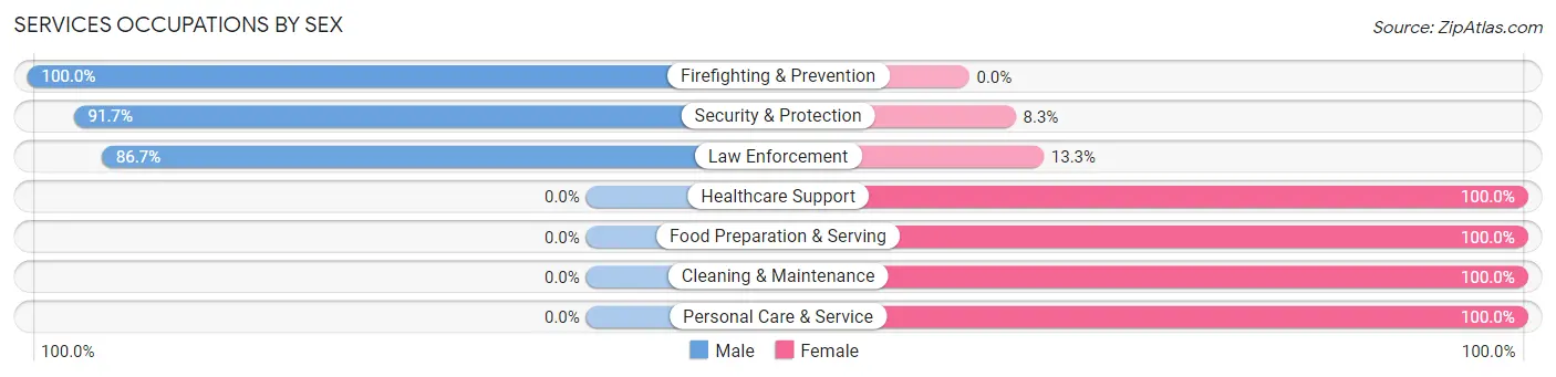 Services Occupations by Sex in Zip Code 23874