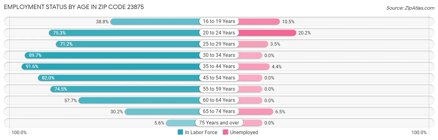 Employment Status by Age in Zip Code 23875