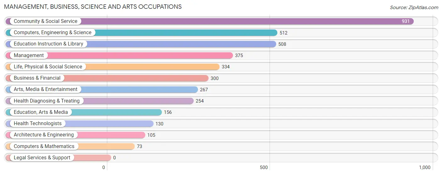 Management, Business, Science and Arts Occupations in Zip Code 23875