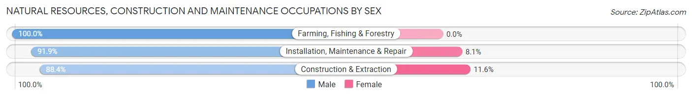 Natural Resources, Construction and Maintenance Occupations by Sex in Zip Code 23875