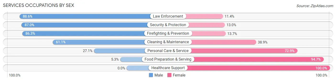 Services Occupations by Sex in Zip Code 23875