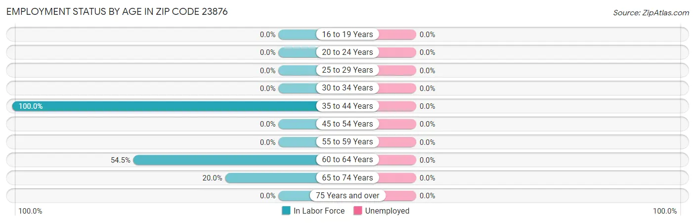 Employment Status by Age in Zip Code 23876