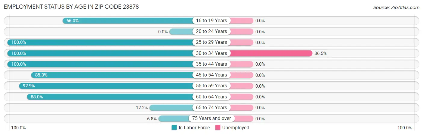 Employment Status by Age in Zip Code 23878