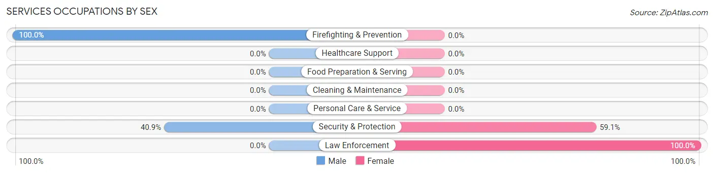Services Occupations by Sex in Zip Code 23878