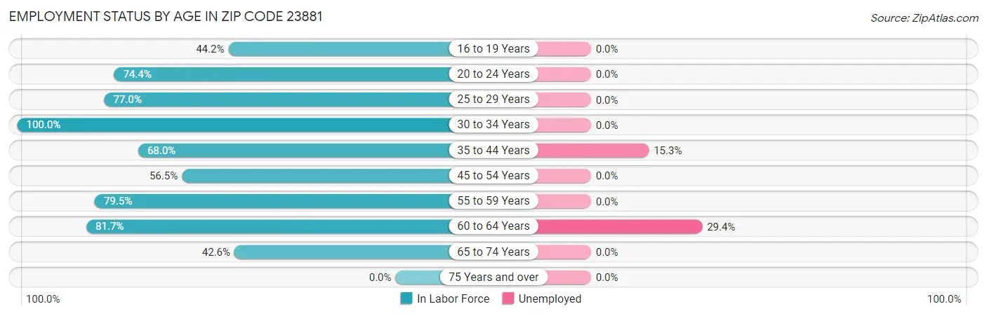 Employment Status by Age in Zip Code 23881