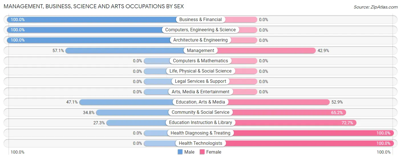 Management, Business, Science and Arts Occupations by Sex in Zip Code 23881