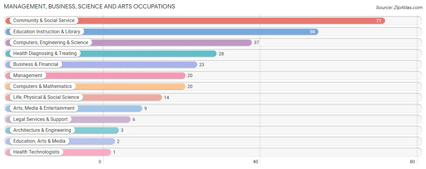 Management, Business, Science and Arts Occupations in Zip Code 23882