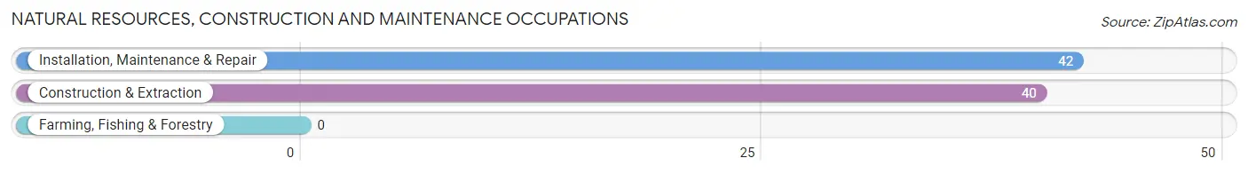 Natural Resources, Construction and Maintenance Occupations in Zip Code 23882