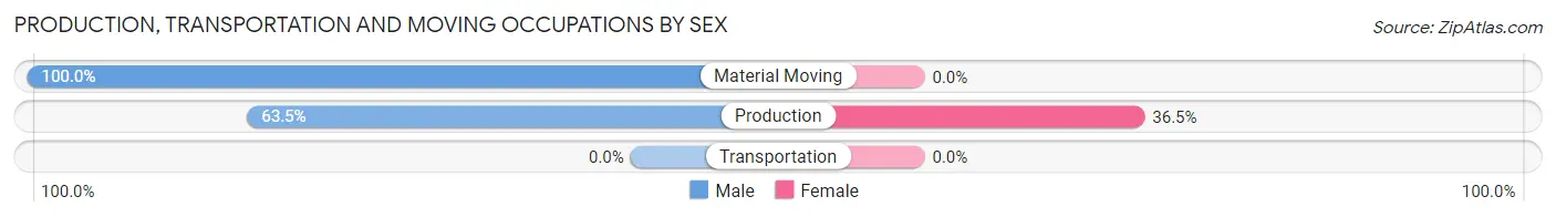 Production, Transportation and Moving Occupations by Sex in Zip Code 23885