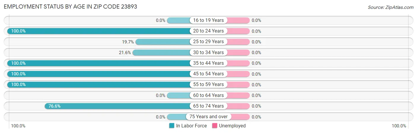 Employment Status by Age in Zip Code 23893