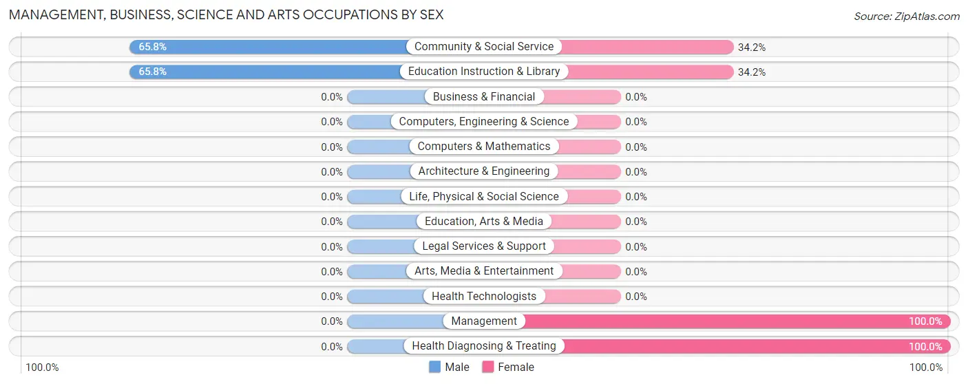 Management, Business, Science and Arts Occupations by Sex in Zip Code 23893
