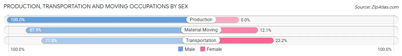 Production, Transportation and Moving Occupations by Sex in Zip Code 23898
