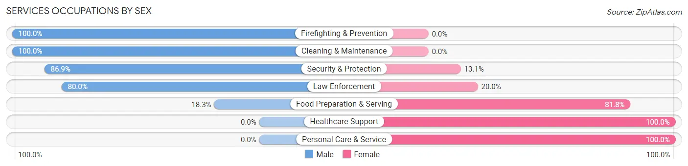 Services Occupations by Sex in Zip Code 23898