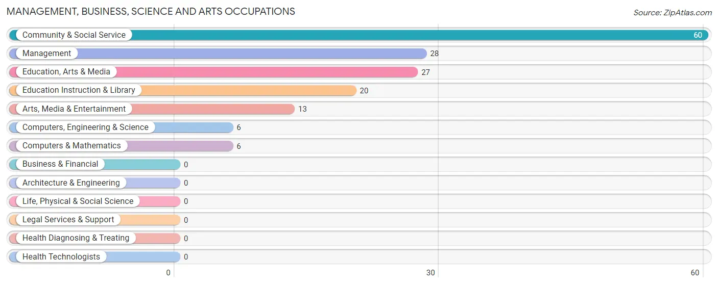 Management, Business, Science and Arts Occupations in Zip Code 23899