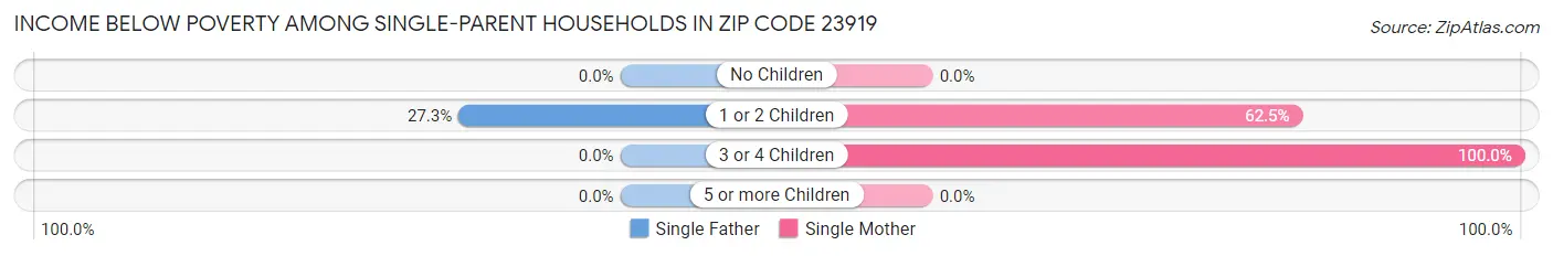 Income Below Poverty Among Single-Parent Households in Zip Code 23919