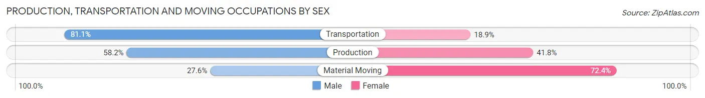 Production, Transportation and Moving Occupations by Sex in Zip Code 23924