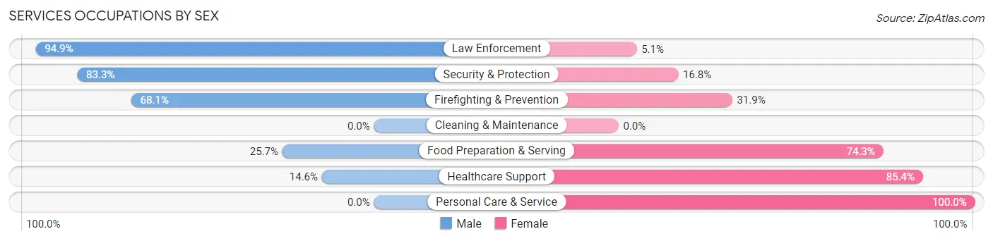 Services Occupations by Sex in Zip Code 23924