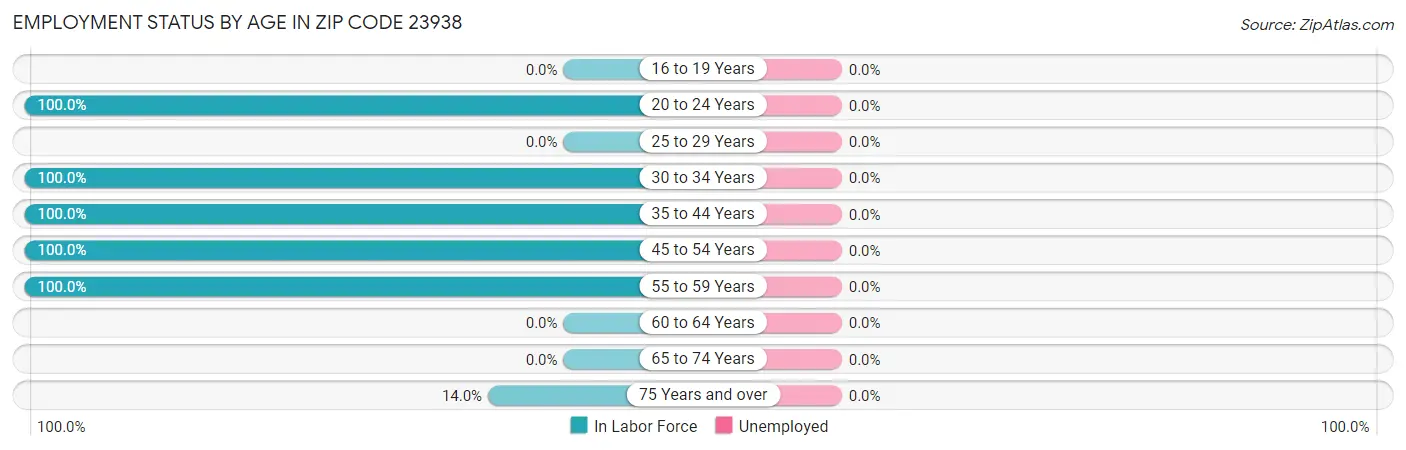 Employment Status by Age in Zip Code 23938