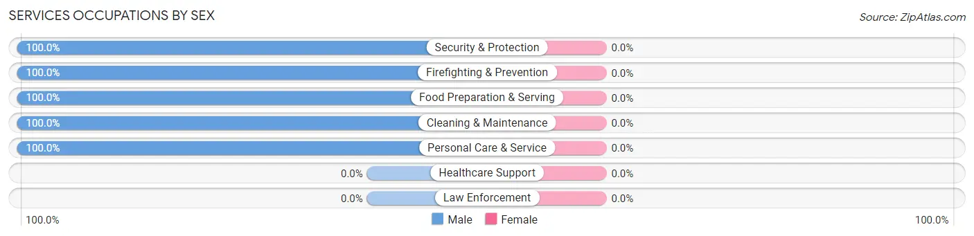 Services Occupations by Sex in Zip Code 23943