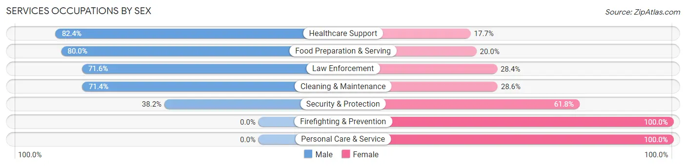 Services Occupations by Sex in Zip Code 23944