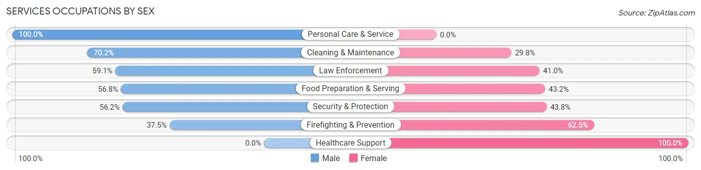 Services Occupations by Sex in Zip Code 23947