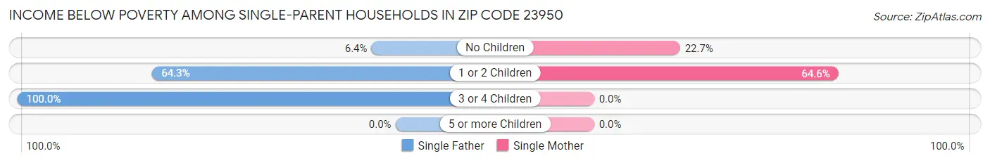Income Below Poverty Among Single-Parent Households in Zip Code 23950
