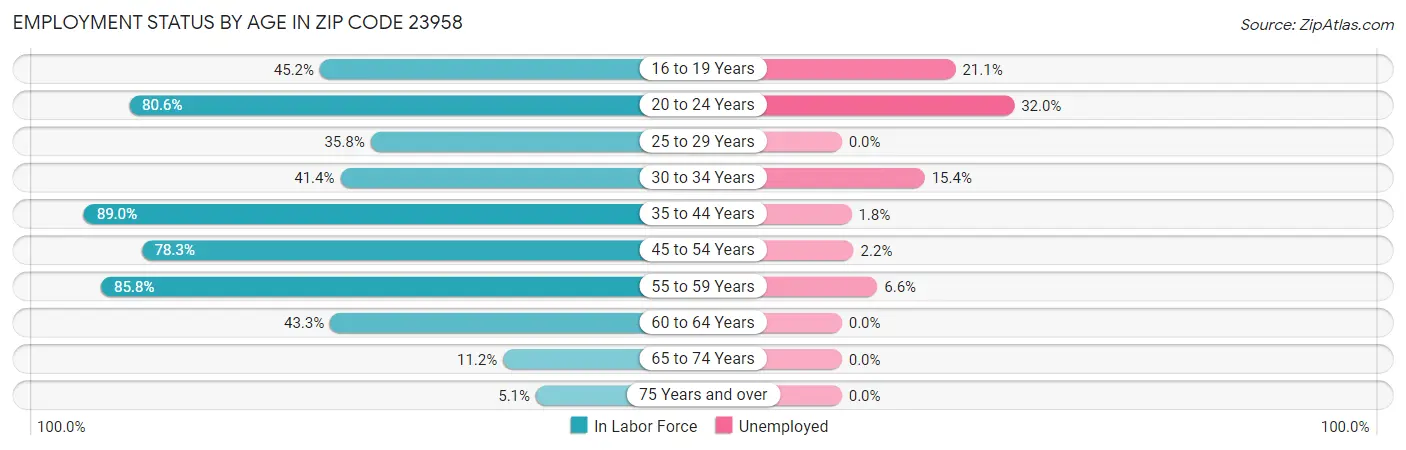 Employment Status by Age in Zip Code 23958