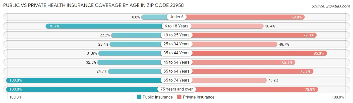 Public vs Private Health Insurance Coverage by Age in Zip Code 23958