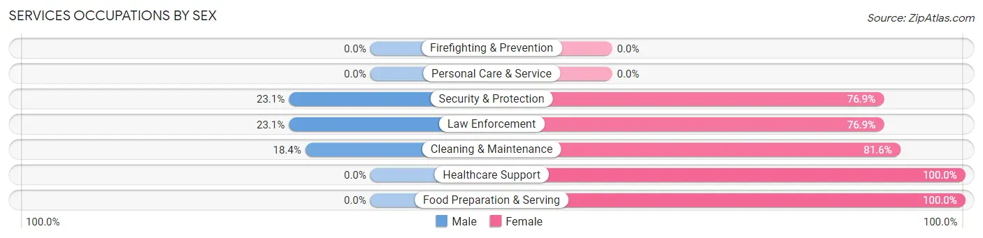 Services Occupations by Sex in Zip Code 23958