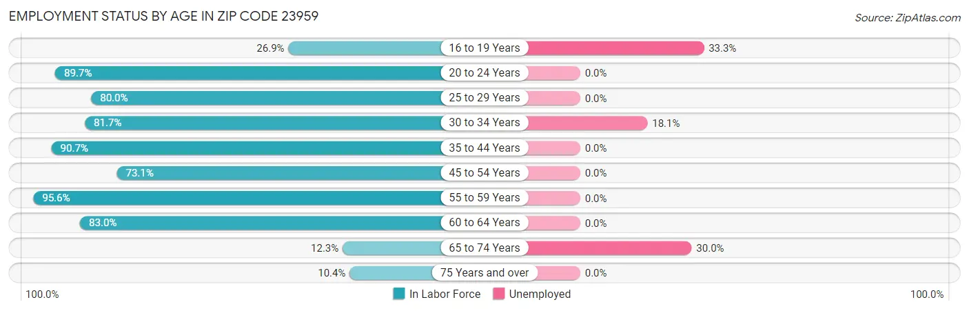Employment Status by Age in Zip Code 23959