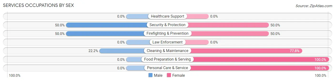 Services Occupations by Sex in Zip Code 23959