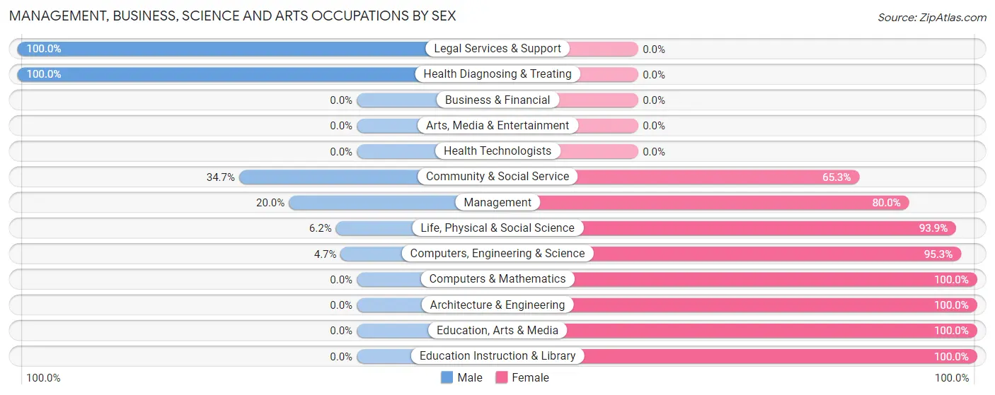 Management, Business, Science and Arts Occupations by Sex in Zip Code 23960